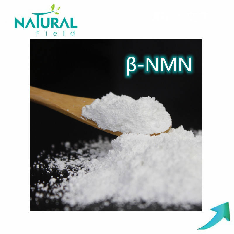 NMN99% β-烟酰胺单核苷酸  NAD+前体 1094-61-7 第三方检测