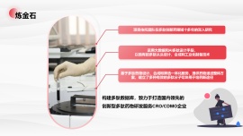 杭州炼金石医药科技有限公司
