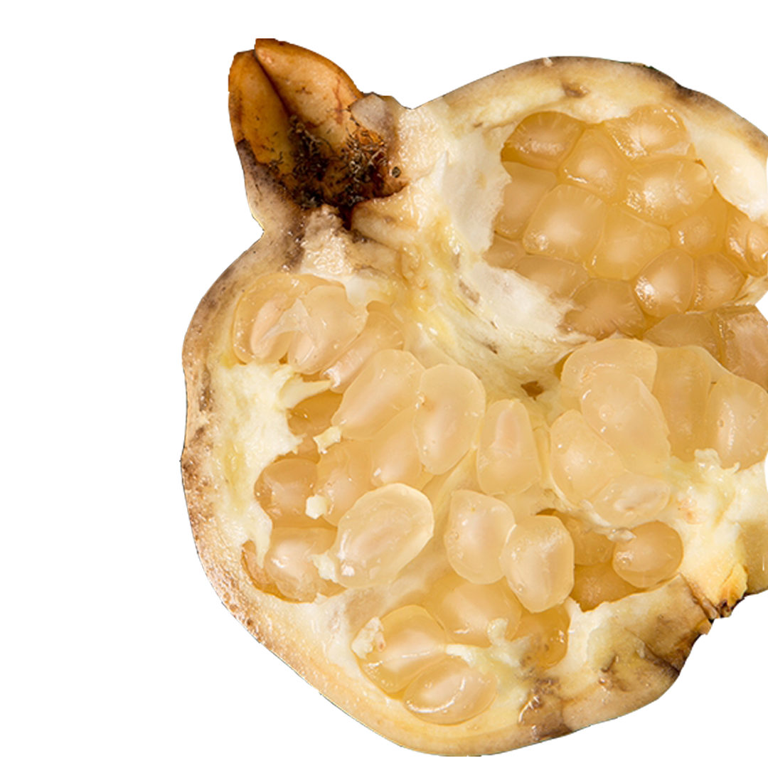 POMEWHITE白石榴提取物Grelide格莱德白石榴浓缩粉