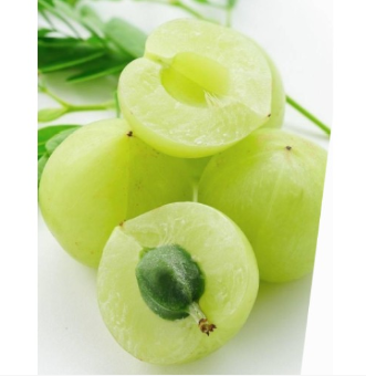 Grelide®格莱德AMLAMAX余甘子粉余甘子提取物药食同源余甘子