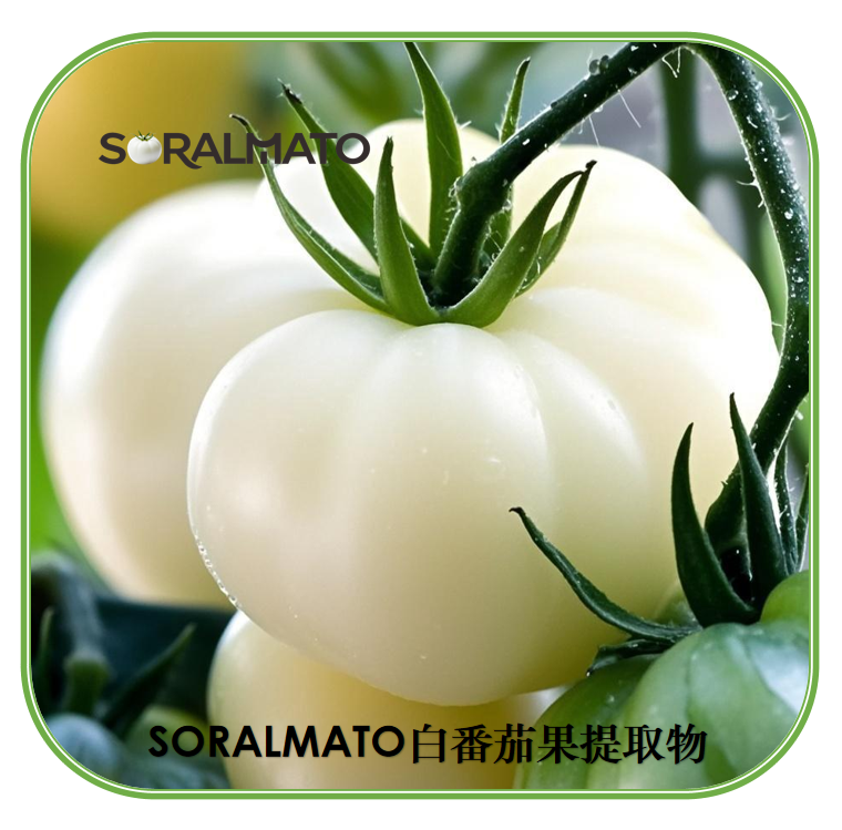SORALMATO白番茄果提取物
