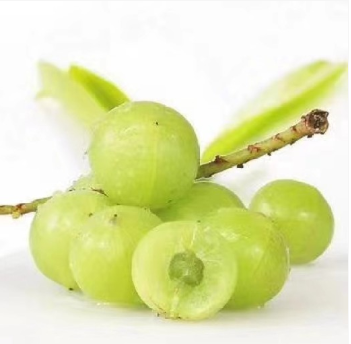 Grelide®格莱德AMLAMAX余甘子粉余甘子提取物药食同源余甘子