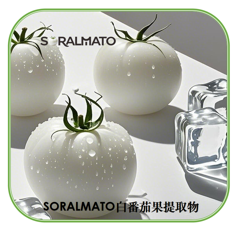 SORALMATO白番茄果提取物