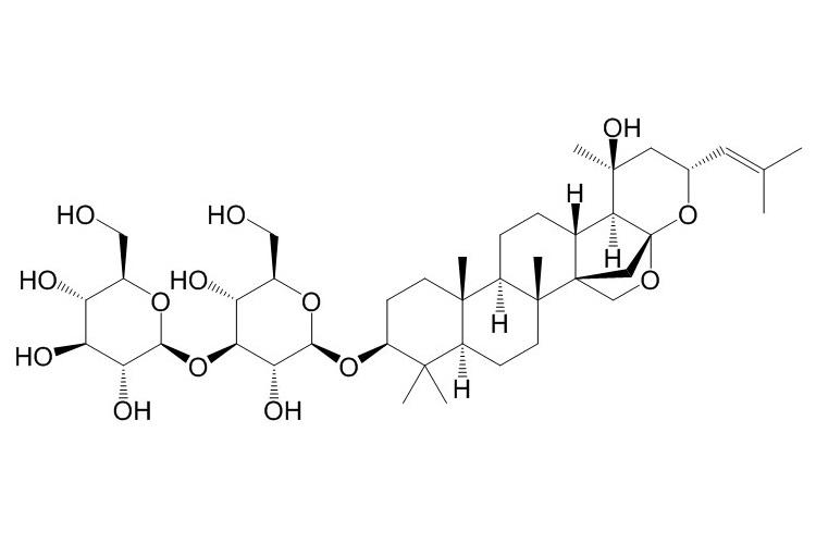 假马齿苋皂苷N1