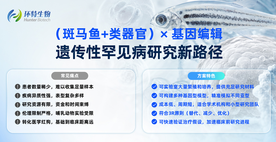 图1.jpg 图1.jpg