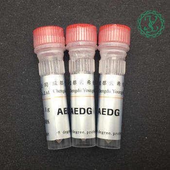 Dihexa Peptide CAS:1401708-83-5