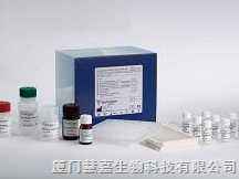 血红素氧合酶2（HO-2）ELISA检测试剂盒