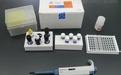丙型肝炎病毒NS3抗原ELISA测定试剂盒