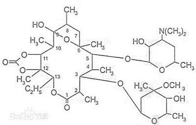 环酯红霉素及片剂项目