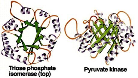 蛋白结构数据分析