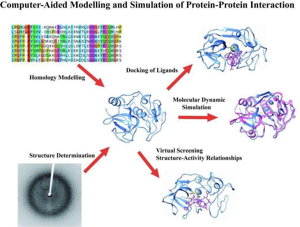 蛋白结构数据分析