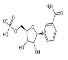 烟酰胺单核苷酸