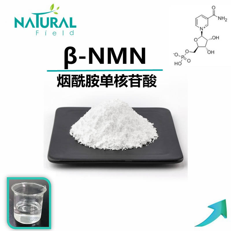 NMN99% β-烟酰胺单核苷酸  NAD+前体 1094-61-7 第三方检测