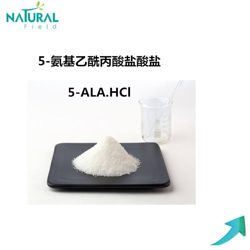 5-氨基乙酰丙酸盐酸盐 5-ALA.HC 5451-09-2 5-Aminolevulinic acid hydrochloride  