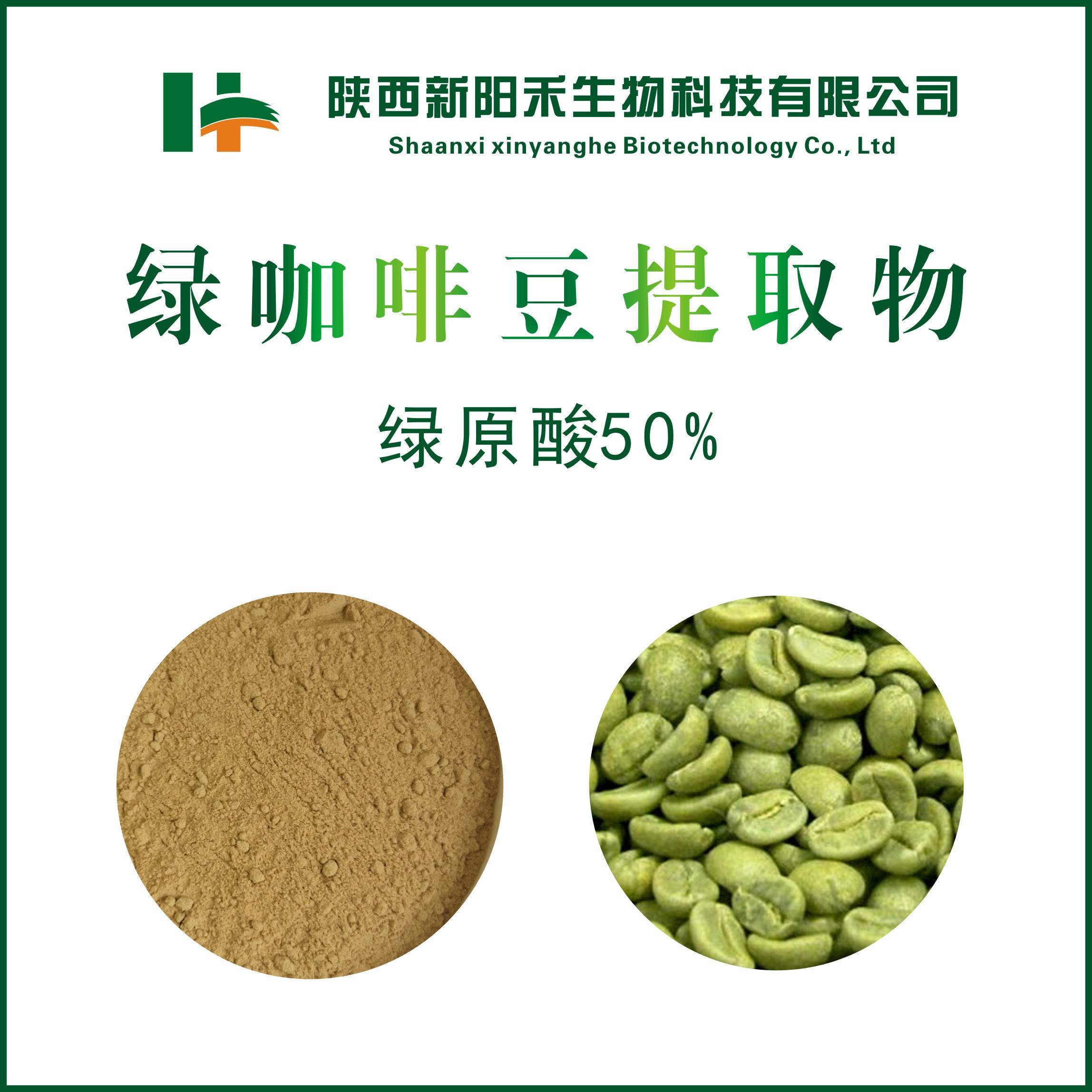 绿咖啡豆提取物 绿原酸50%