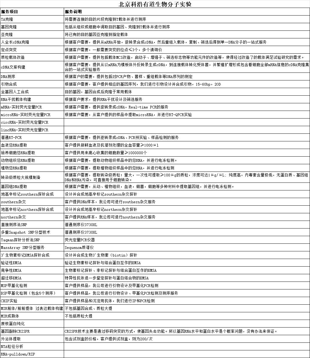 分子实验检测