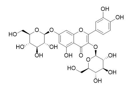 槲皮素-3,7-双葡萄糖苷