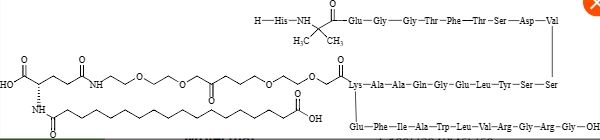 司美格鲁肽杂质4
