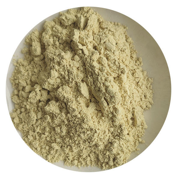 槐米提取物Sophora japonica extract