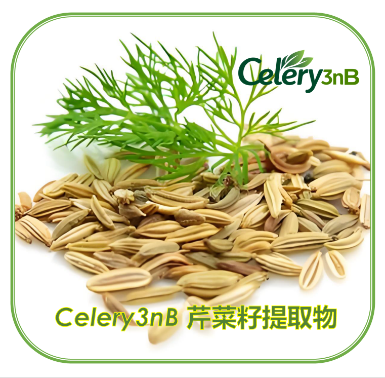 Celery3nB 芹菜种子提取物