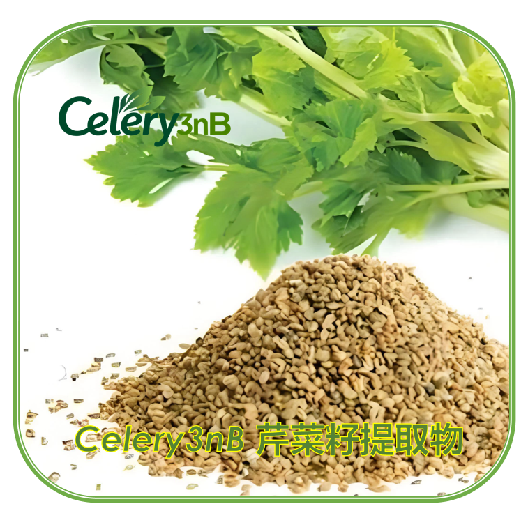 Celery3nB 芹菜种子提取物