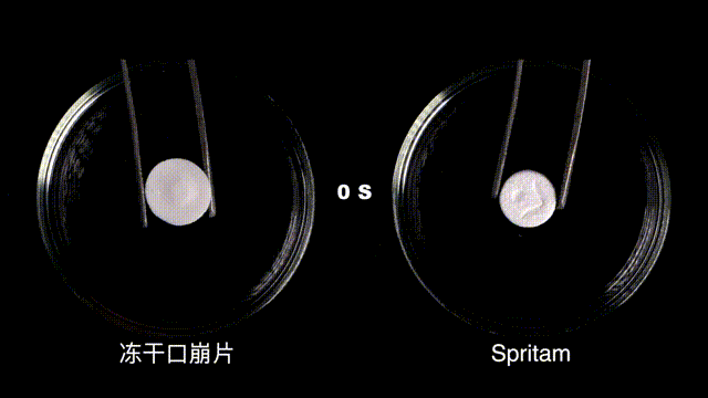 冻干口服、冻干口崩、冻干闪释片的技术服务和产业化委托服务