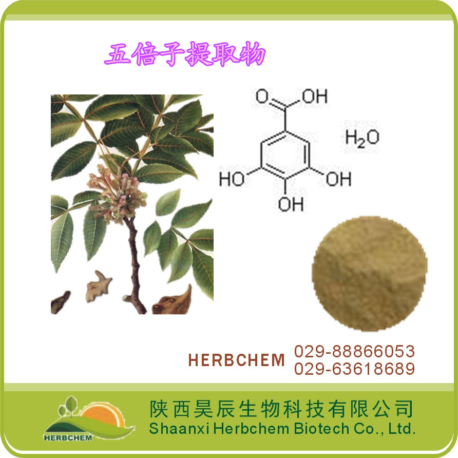 （绿色天然保健品原料）五倍子提取物