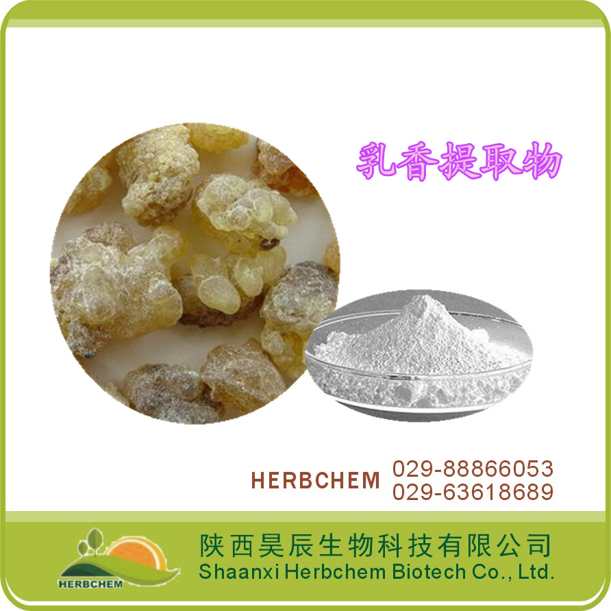 （绿色天然保健品原料）乳香提取物