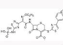 头孢洛林酯  866021-48-9