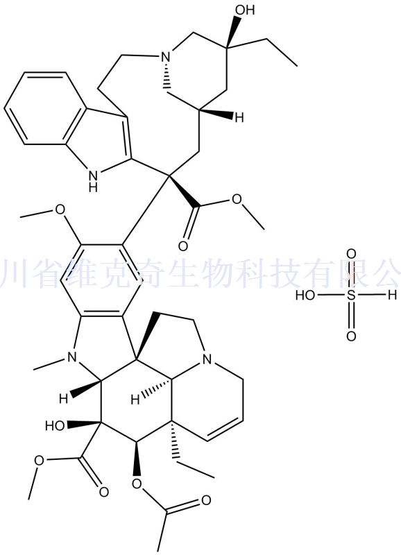 厂家现货供应硫酸长春碱、143-67-9、Vinblastine sulfate