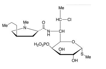 Clindamycin 4-Phosphate 克林霉素 4-磷酸盐