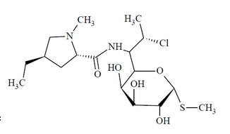 Clindamycin B  克林霉素B