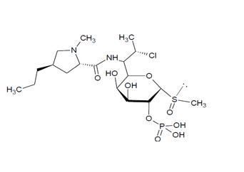 15）Clindamycin 2-Phosphate Sulfoxide  克林霉素-2-磷酸盐亚砜（A&B异构体）