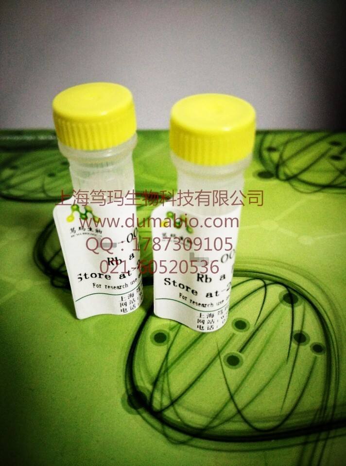 HEPES溶液(1mol/L,Free Acid)