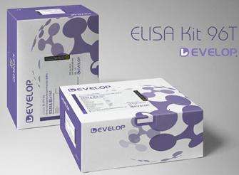 大鼠血管紧张素Ⅱ(ANGⅡ) ELISA Kit
