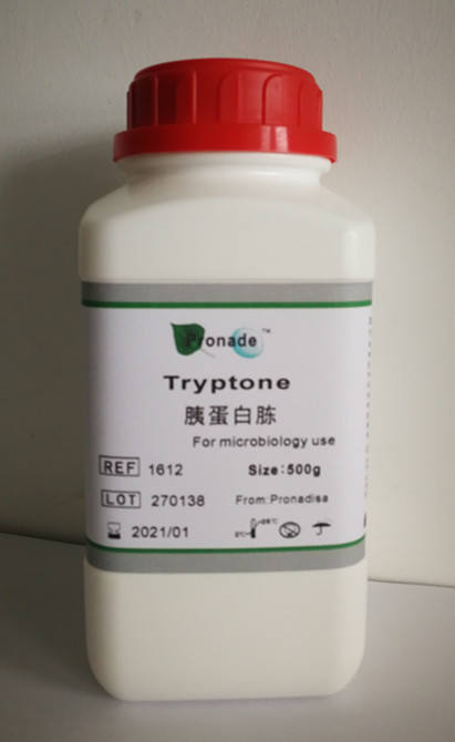 胰蛋白胨（西班牙进口）Tryptone