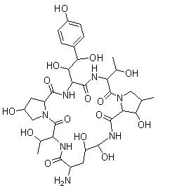 棘白菌素B 母核