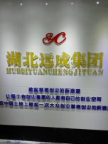 武汉共创生物科技有限责任公司总营销部