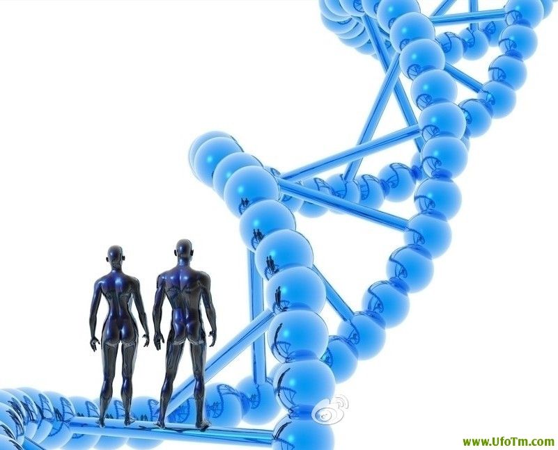 人类全基因组测序