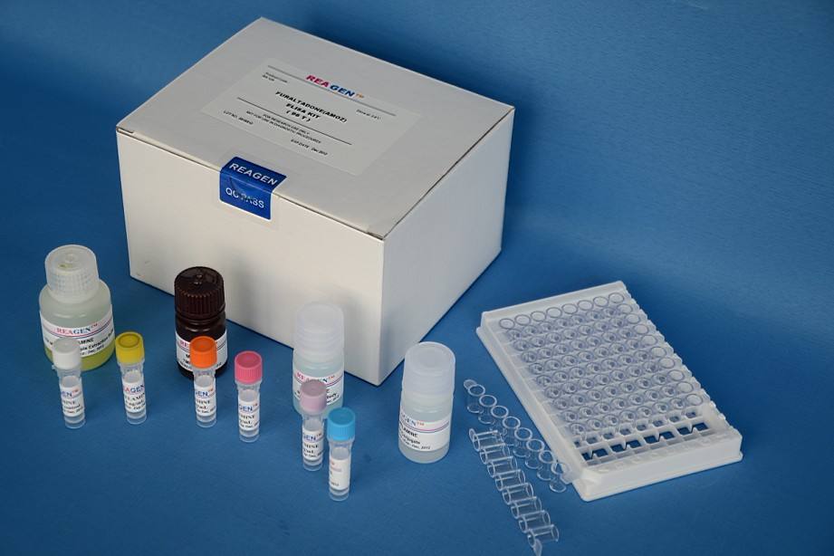 大鼠基质金属蛋白酶5(MMP-5)ELISA试剂盒
