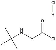 2-[(叔丁基)氨基]乙酰氯盐酸盐