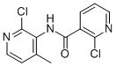 2-氯-N-（2-氯-4-甲基吡啶-3-）烟酰胺