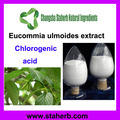 杜仲提取物（杜仲绿原酸25%）  杜仲提取物Eucommia Ulmoides P.E. 绿原酸