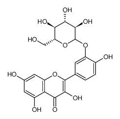 槲皮素-3\'-O-葡萄糖苷