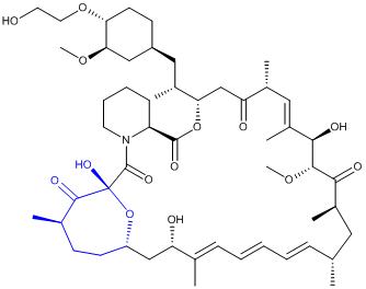 依维莫司Everolimus Related Compound 1             501-95（7-环异构体）