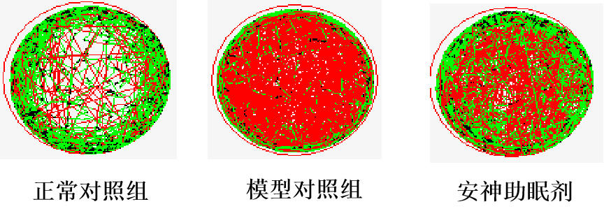 利用斑马鱼模型评价安神助眠功效