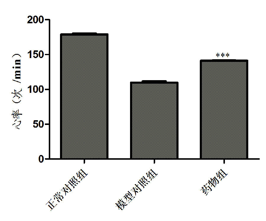 利用斑马鱼模型评价改善心动过缓功效