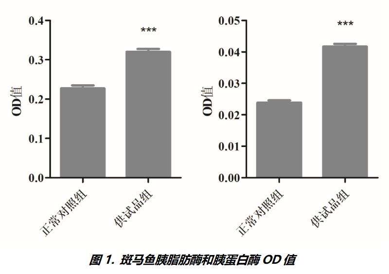 利用斑马鱼模型评价肠道消化功能