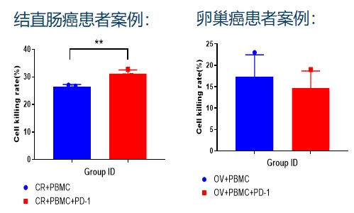 4小鼠PDX模型肿瘤免疫研究.png
