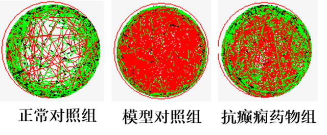 利用斑马鱼模型评价抗癫痫作用